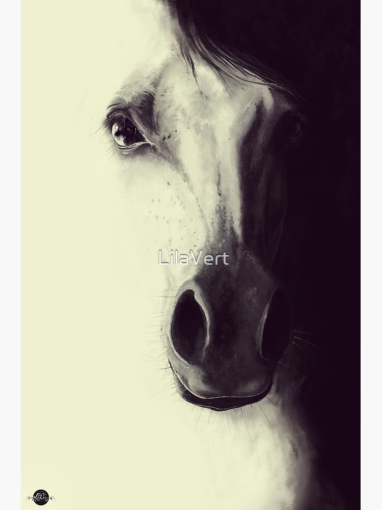 Come to me, my dream.. by LilaVert