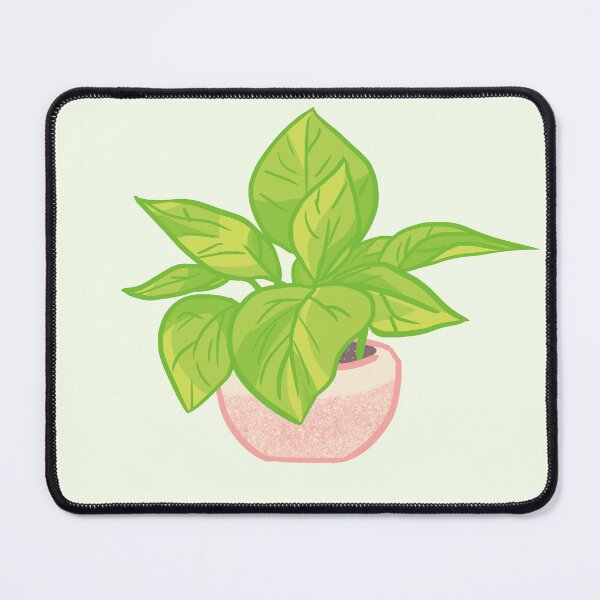 Aperçu de l'œuvre Pothos en pot créée et vendue par AdeniumShop.