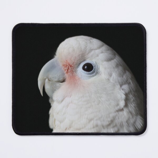 Item preview, Wiske designed and sold by ImpeckableFlock.
