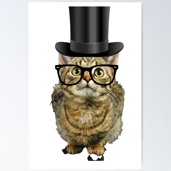 Item preview, COOL CAT designed and sold by warriorsrrv.