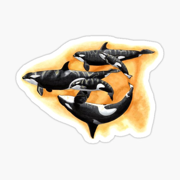 Kasatka and her offspring - Draw Every Captive Orca Project nr. 3 Sticker