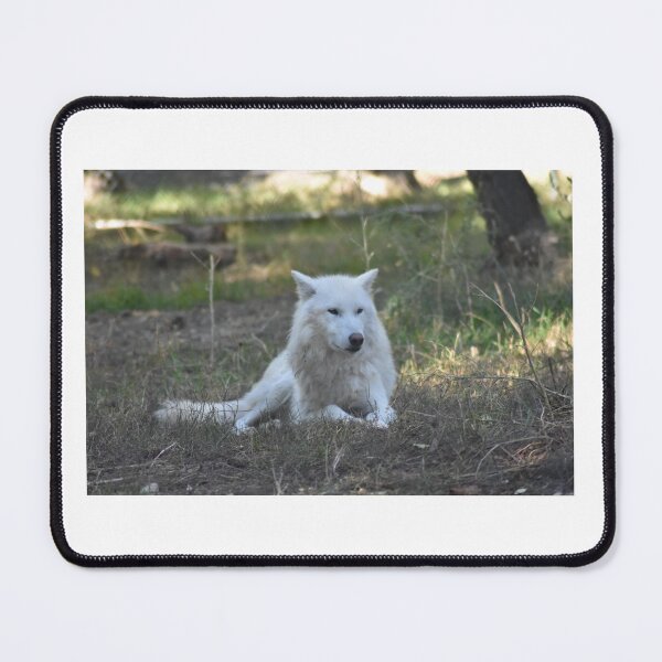 Item preview, White Wolf designed and sold by MarieDarcy97.