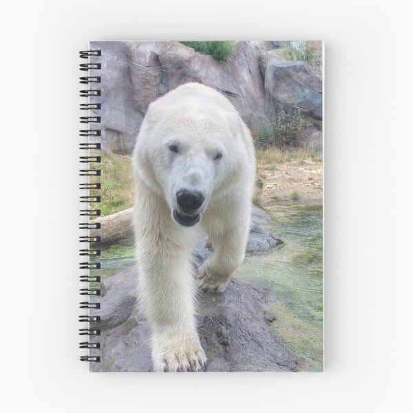 Item preview, Ursus maritimus designed and sold by Mythos57.