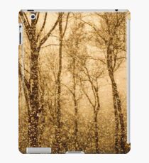 Whispering Snowstorm iPad Case/Skin
