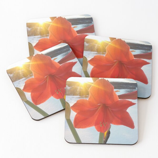 Item preview, Winter Flower designed and sold by JTRLandscapes.
