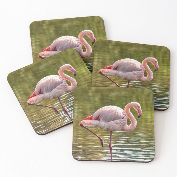 Item preview, Greater Flamingo designed and sold by derekbeattie.
