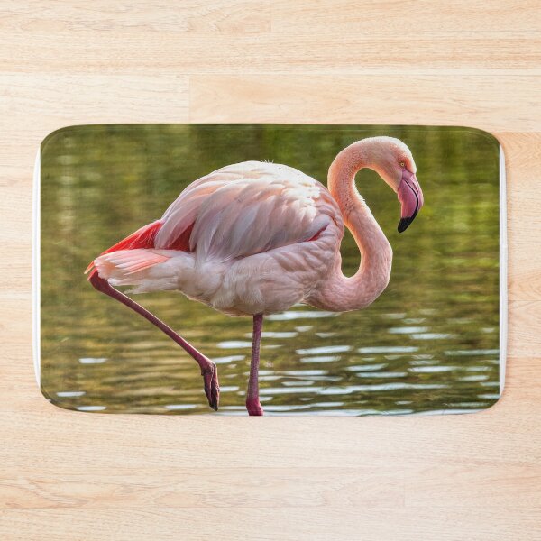 Item preview, Greater Flamingo designed and sold by derekbeattie.