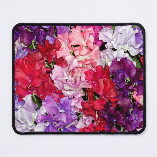 Item preview, Colourful Sweet Peas designed and sold by Stephen Frost.