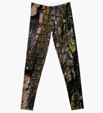 Cool Brown wood bark with yellow lichen pattern Leggings