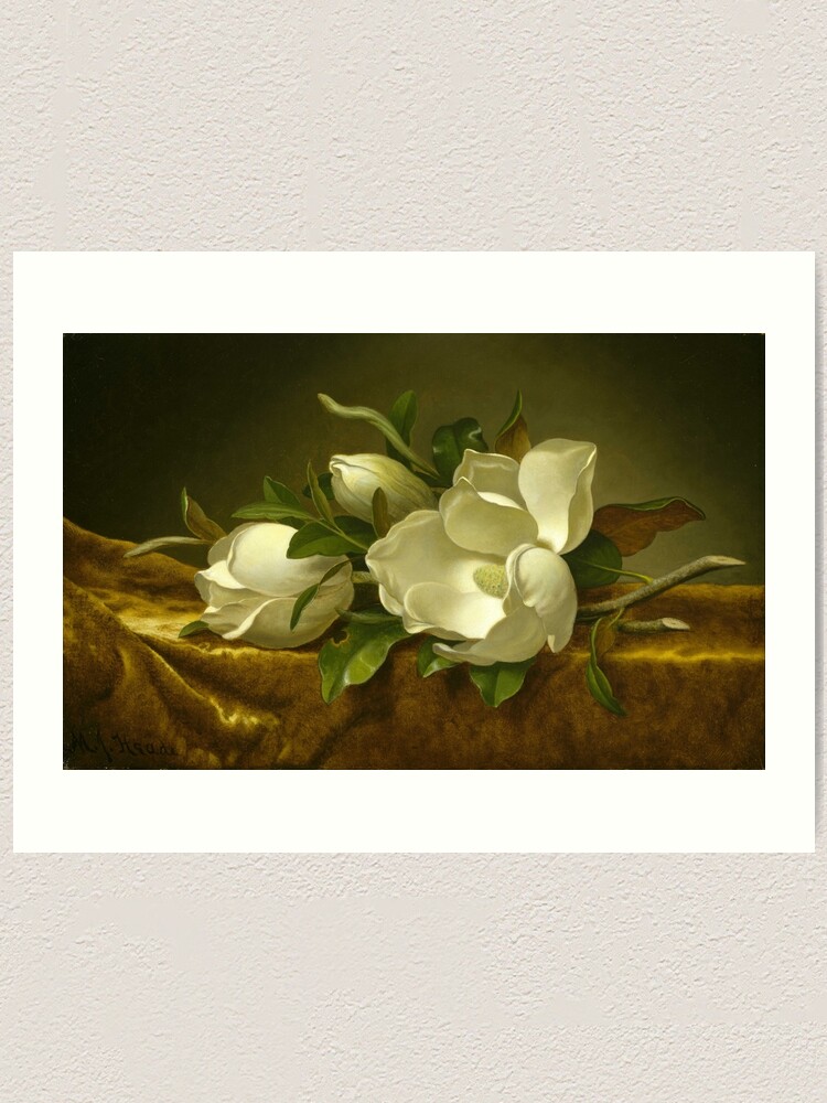 Magnolias on Gold Velvet Cloth by Martin Johnson Heade