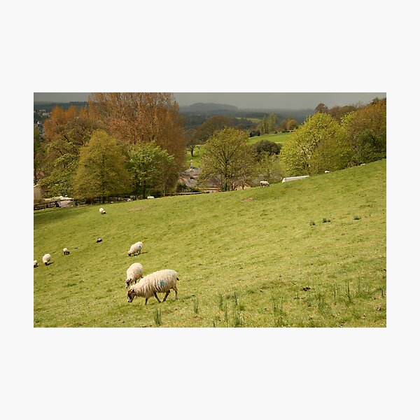 Item preview, pastoral designed and sold by jayview.