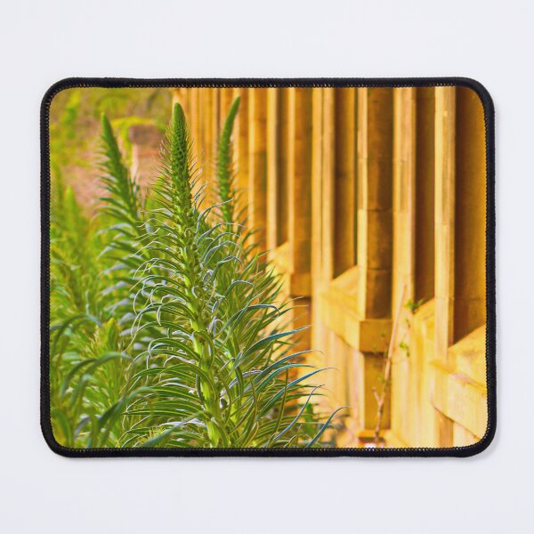 Item preview, Window Box designed and sold by SJHorsfall.