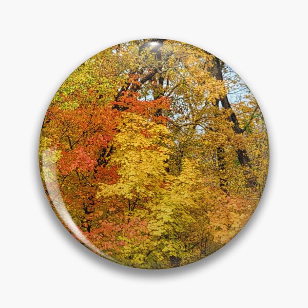 Item preview, Peak Colors at Itasca State Park on October 3, 2022 designed and sold by Debbie Center.