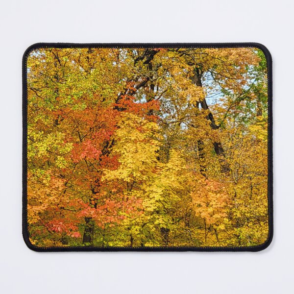 Item preview, Peak Colors at Itasca State Park on October 3, 2022 designed and sold by Debbie Center.