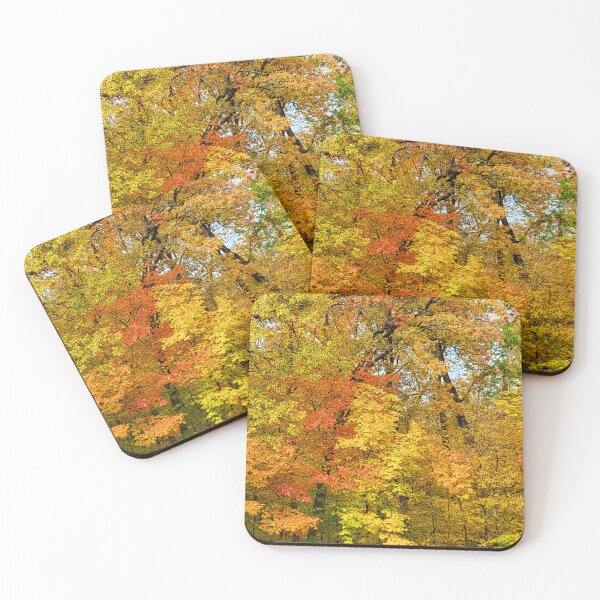 Item preview, Peak Colors at Itasca State Park on October 3, 2022 designed and sold by Debbie Center.