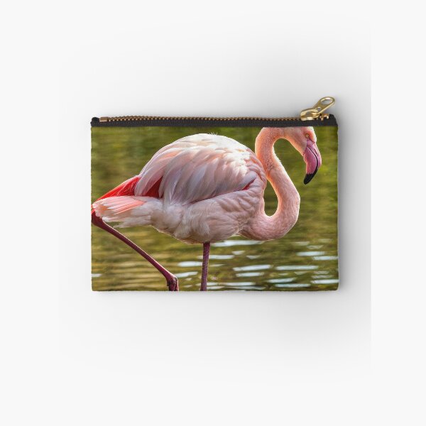 Item preview, Greater Flamingo designed and sold by derekbeattie.