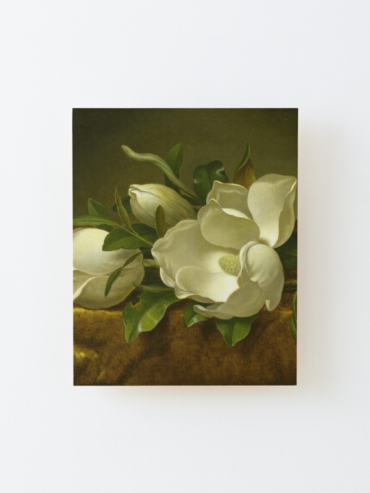 Magnolias on Gold Velvet Cloth by Martin Johnson Heade