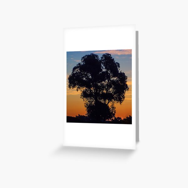 Item preview, Sunset at Bairnsdale designed and sold by Yukondick.