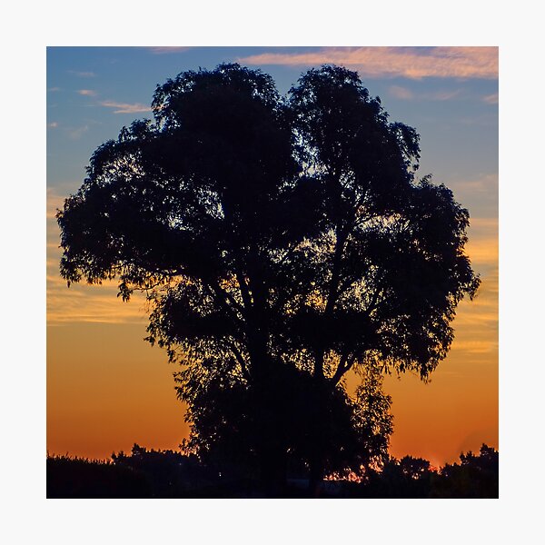 Item preview, Sunset at Bairnsdale designed and sold by Yukondick.