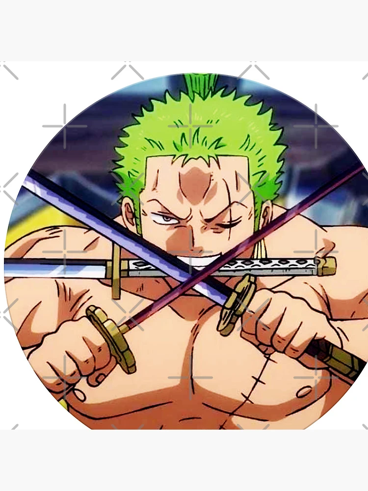 Pin by AASSLL on One Piece ☠️  Manga anime one piece, Zoro one