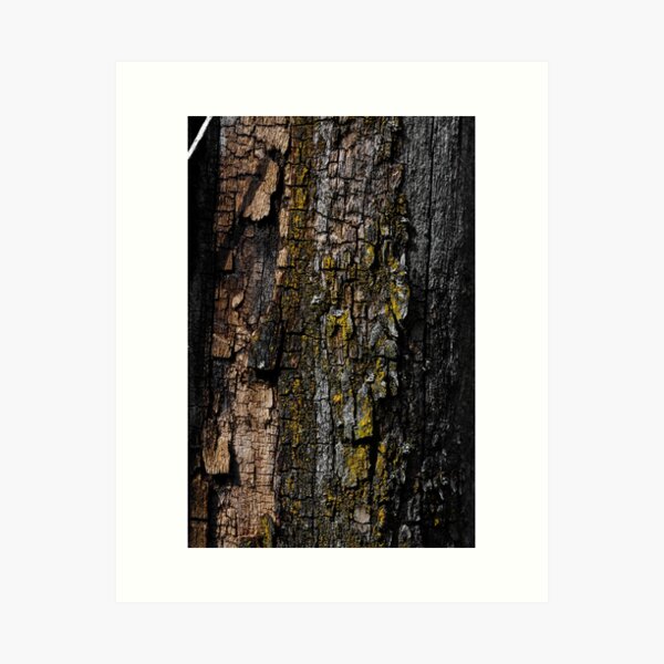 Item preview, Cool Brown wood bark with yellow lichen camo texture (Photo of wood)  designed and sold by PLdesign.