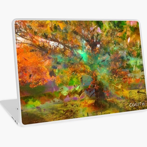 Magical Laptop Skin