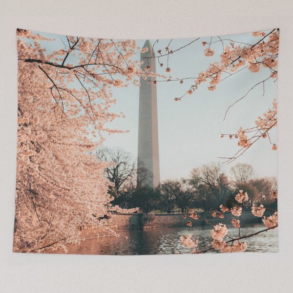 Item preview, Washington, D.C. Capital of the United States of America designed and sold by Asombrosa.