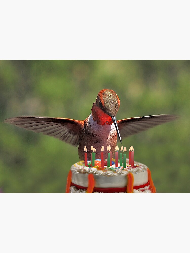 Carte De Vœux Oiseau D Anniversaire Par Kenlassen Redbubble