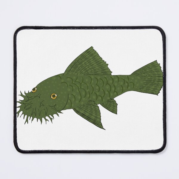 Item preview, Green Dragon Bristlenose Pleco - Olive Flavor - White Background designed and sold by ReverendMothman.