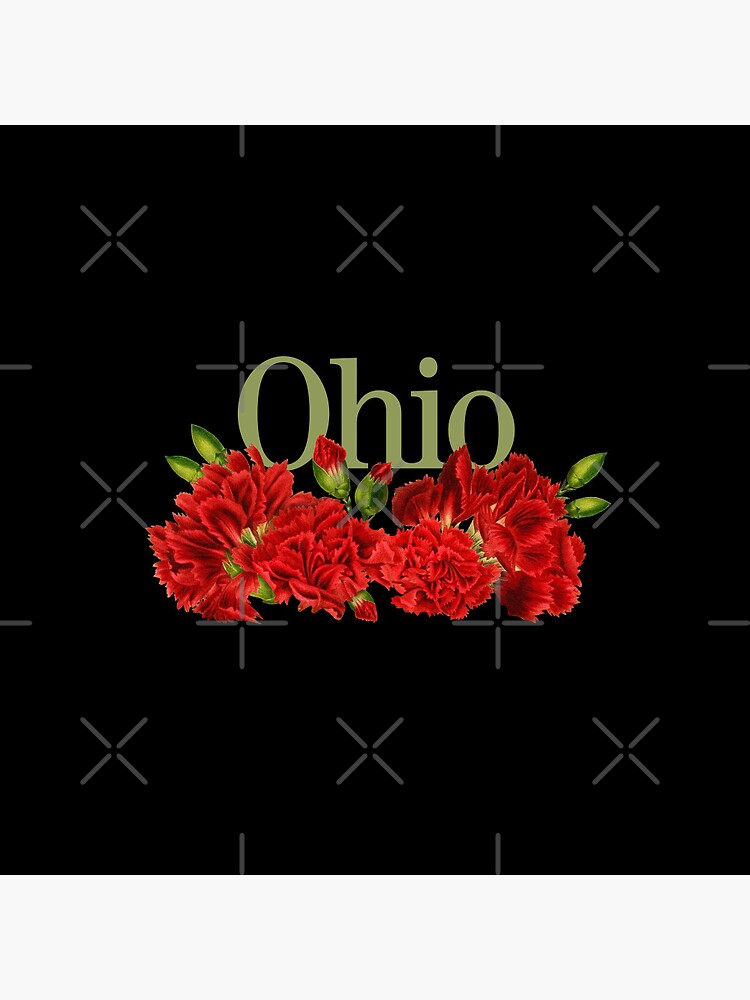 Ohio Red Carnations State Flower  Ohio State Gifts Pin for Sale