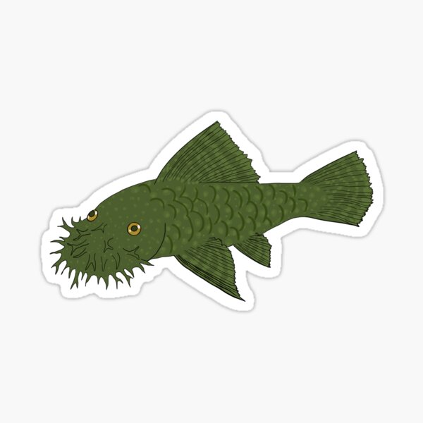 Vista previa del artículo con la obra «Green Dragon Bristlenose Pleco - Sabor Oliva - Fondo Blanco», diseñado y vendido por ReverendMothman.