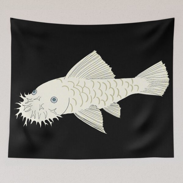 Item preview, Snow White Bristlenose Pleco - Snow Flavor - Black Background designed and sold by ReverendMothman.