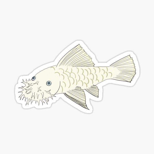 Vista previa del artículo con la obra «Blancanieves Bristlenose Pleco - Sabor a nieve - Fondo negro», diseñado y vendido por ReverendMothman.