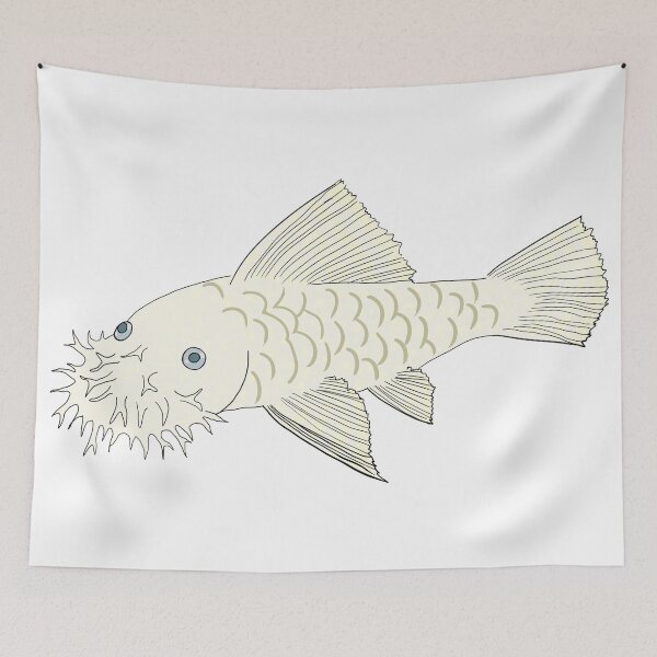 Item preview, Snow White Bristlenose Pleco - Snow Flavor - White Background designed and sold by ReverendMothman.