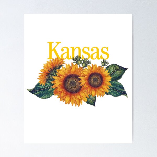 Sunflower Floral Scarf 2024 - Kansas State Flower - Kansas themed gifts - Moving away gifts for her - graduation gifts for her