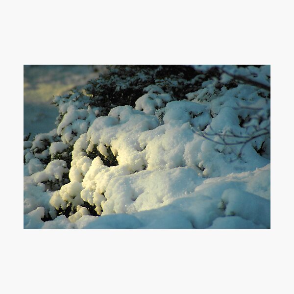 day break Photographic Print