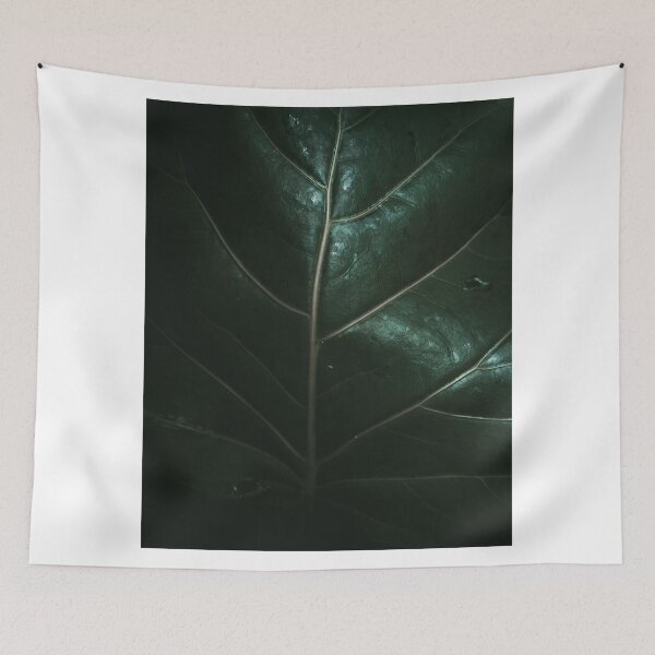 Item preview, Close up jungle plant, Colombia designed and sold by photofelix-.
