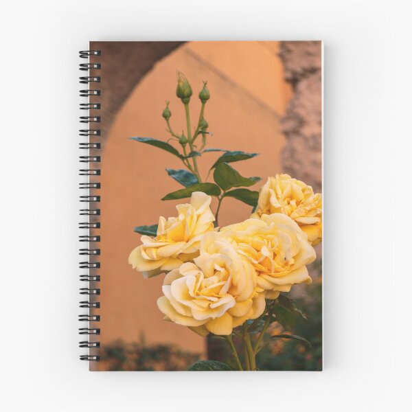 Item preview, Seville City in Spain designed and sold by Asombrosa.