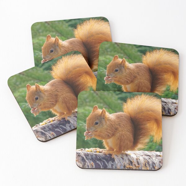 Item preview, Red Squirrel with Nuts designed and sold by Stephen Frost.