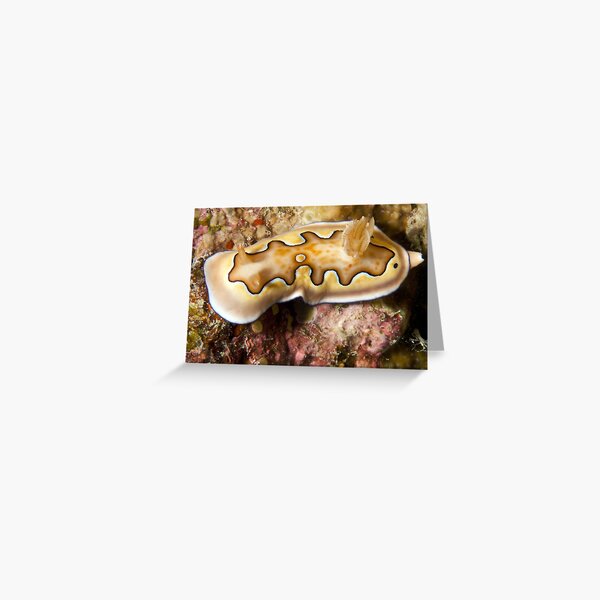 Ribbon Reefs - Nudibranch Greeting Card