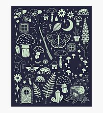 Fairy Garden: Midnight Photographic Print