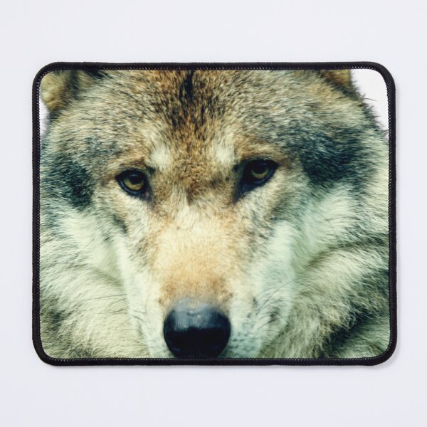 Item preview, Wolf head designed and sold by zeljana0504.