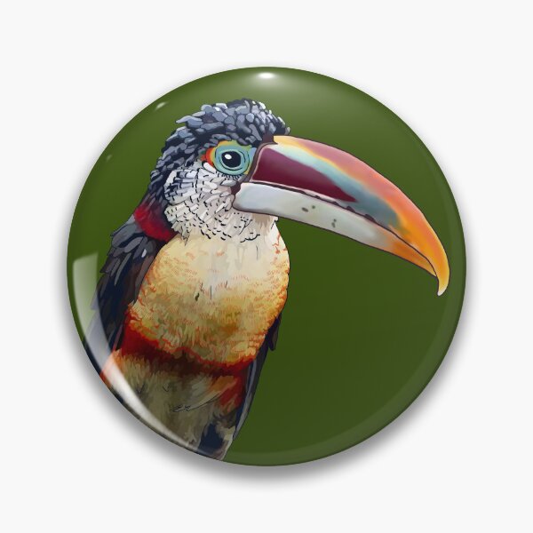 Item preview, Curl-Crested Aracari designed and sold by Zia Frazier.