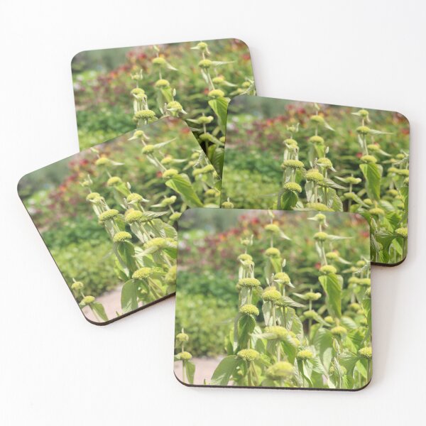 Item preview, Turkish sage designed and sold by GreyFeatherPhot.