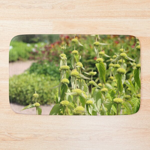 Item preview, Turkish sage designed and sold by GreyFeatherPhot.