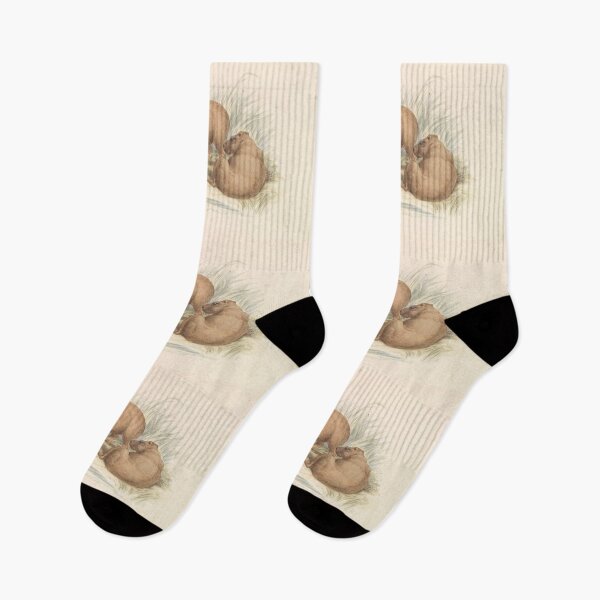 Item preview, The Capybara by Charles Hamilton Smith (caption added digitally) designed and sold by Amanda1775.