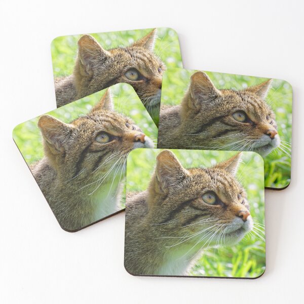 Item preview, Scottish Wildcat  designed and sold by Stephen Frost.
