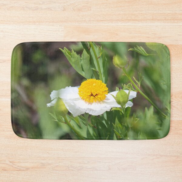 Item preview, Fried egg plant - Matilija poppy designed and sold by GreyFeatherPhot.