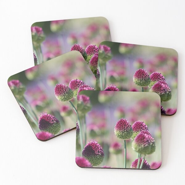 Item preview, Alliums designed and sold by GreyFeatherPhot.