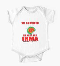 We Survived Hurricane Irma 2017 Short Sleeve Baby One-Piece